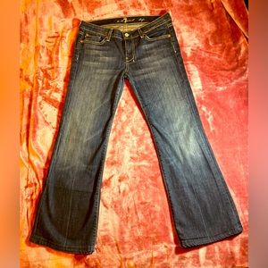 Dojo distressed jeans, size 29